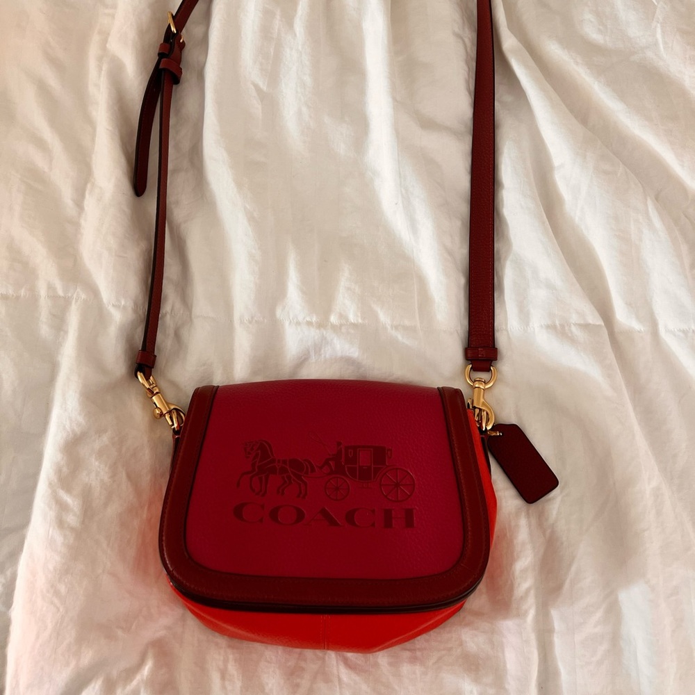 CHIC coach purse